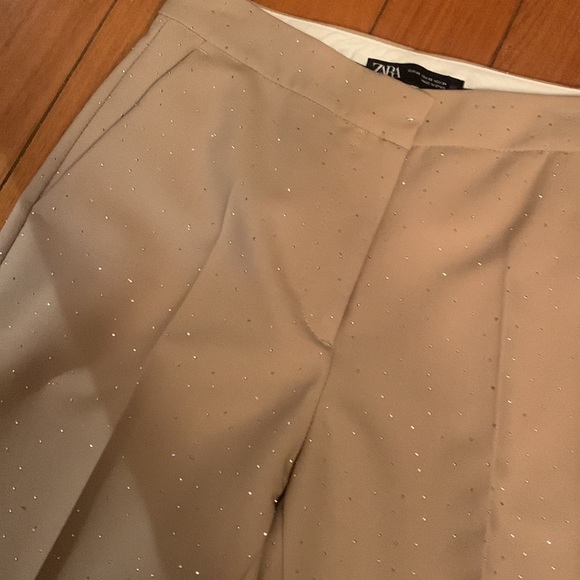 Sparkly Zara pants - Picture 4 of 11